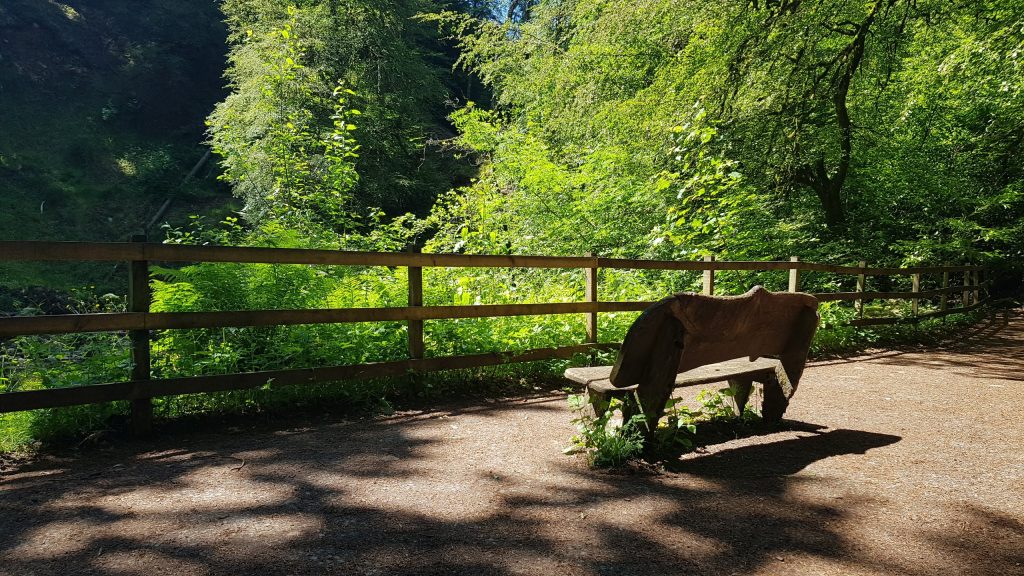 A lone bench looking out over trees