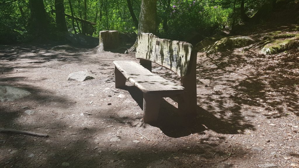 A solitary bench sheltered by trees, dappled light shines through the trees onto the bench,